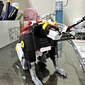 IMG_2423.jpeg