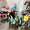 IMG_2426.jpeg
