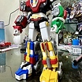IMG_2431.jpeg