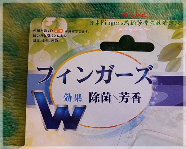 P1040395 試用