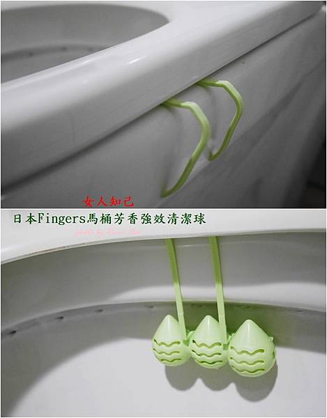 P1040447 試用