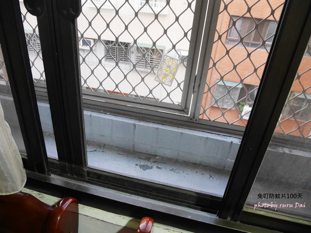 P1430689.JPG