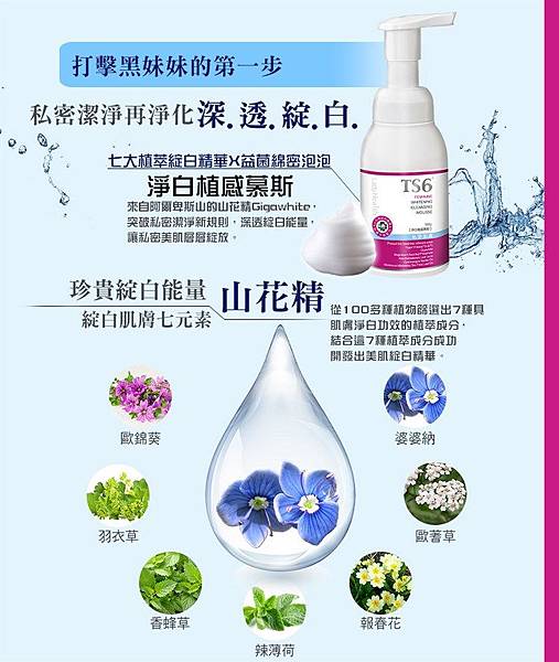 1c8f2764-d9d1-4337-97ff-7219d27310b5.jpeg 1c8f2764-d9d1-4337-97ff-7219d27310b5.jpeg