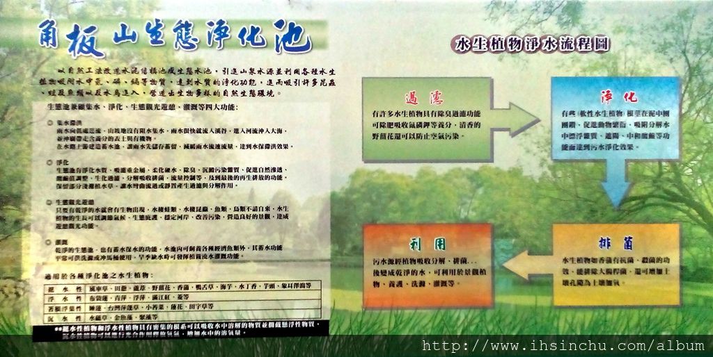 角板山生態池 角板山生態池