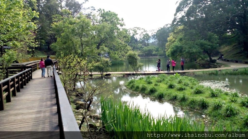 角板山生態池 角板山生態池