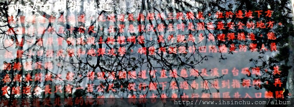 IMG_20160326_152550 IMG_20160326_152550