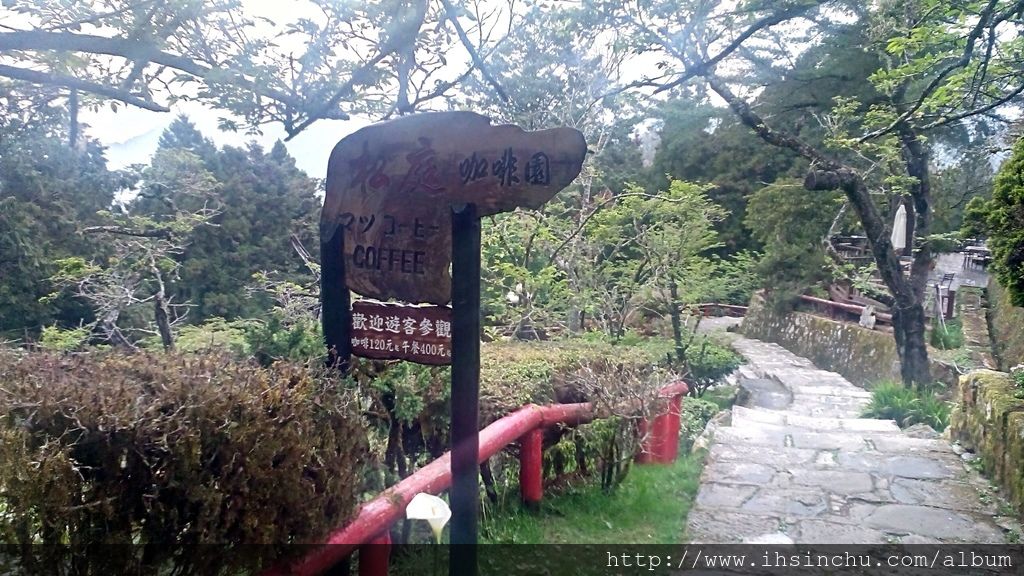 阿里山賓館歷史館門口前還有非常棒的露天咖啡座，叫做松庭露天咖啡