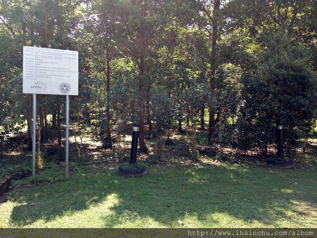 花鳥新村的後院跟林務局(林業試驗所)合作一些植物培育,例如牛樟芝等,後院占地非常大,儼然就跟森林一樣,不過蚊子超多的,來山里防蚊液要準備好,否則可是會滿身包喔。 花鳥新村的後院跟林務局(林業試驗所)合作一些植物培育,例如牛樟芝等,後院占地非常大,儼然就跟森林一樣,不過蚊子超多的,來山里防蚊液要準備好,否則可是會滿身包喔。
