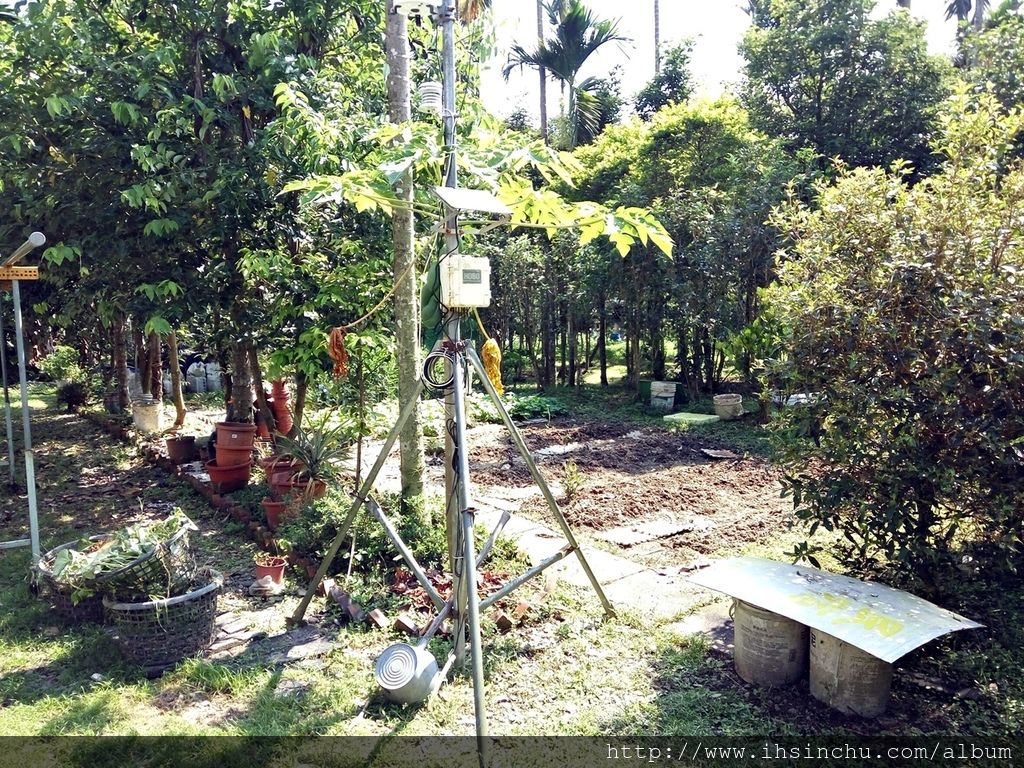 花鳥新村的後院跟林務局(林業試驗所)合作一些植物培育,例如牛樟芝等,後院占地非常大,儼然就跟森林一樣,不過蚊子超多的,來山里防蚊液要準備好,否則可是會滿身包喔。 花鳥新村的後院跟林務局(林業試驗所)合作一些植物培育,例如牛樟芝等,後院占地非常大,儼然就跟森林一樣,不過蚊子超多的,來山里防蚊液要準備好,否則可是會滿身包喔。