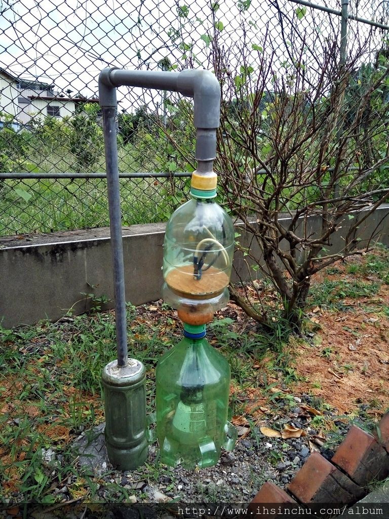 花鳥新村豪宅前面,主人巧具匠心的布置非常美的花園及停車場,栽種各式植物,連路燈都有創意喔。 花鳥新村豪宅前面,主人巧具匠心的布置非常美的花園及停車場,栽種各式植物,連路燈都有創意喔。