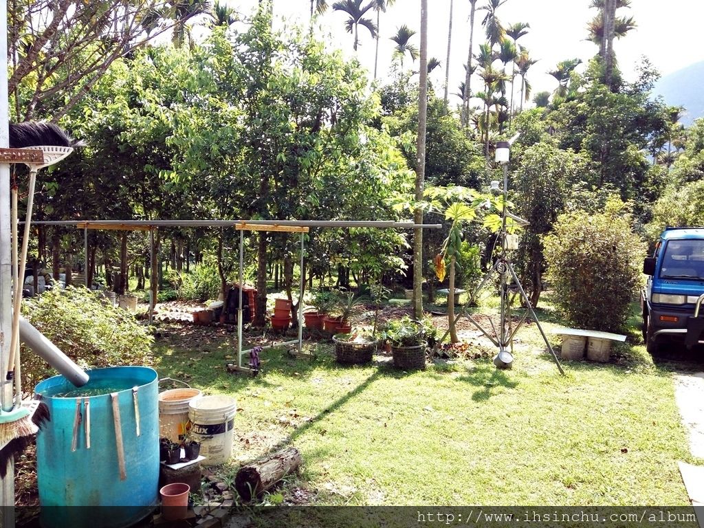 花鳥新村的後院跟林務局(林業試驗所)合作一些植物培育,例如牛樟芝等,後院占地非常大,儼然就跟森林一樣,不過蚊子超多的,來山里防蚊液要準備好,否則可是會滿身包喔。 花鳥新村的後院跟林務局(林業試驗所)合作一些植物培育,例如牛樟芝等,後院占地非常大,儼然就跟森林一樣,不過蚊子超多的,來山里防蚊液要準備好,否則可是會滿身包喔。