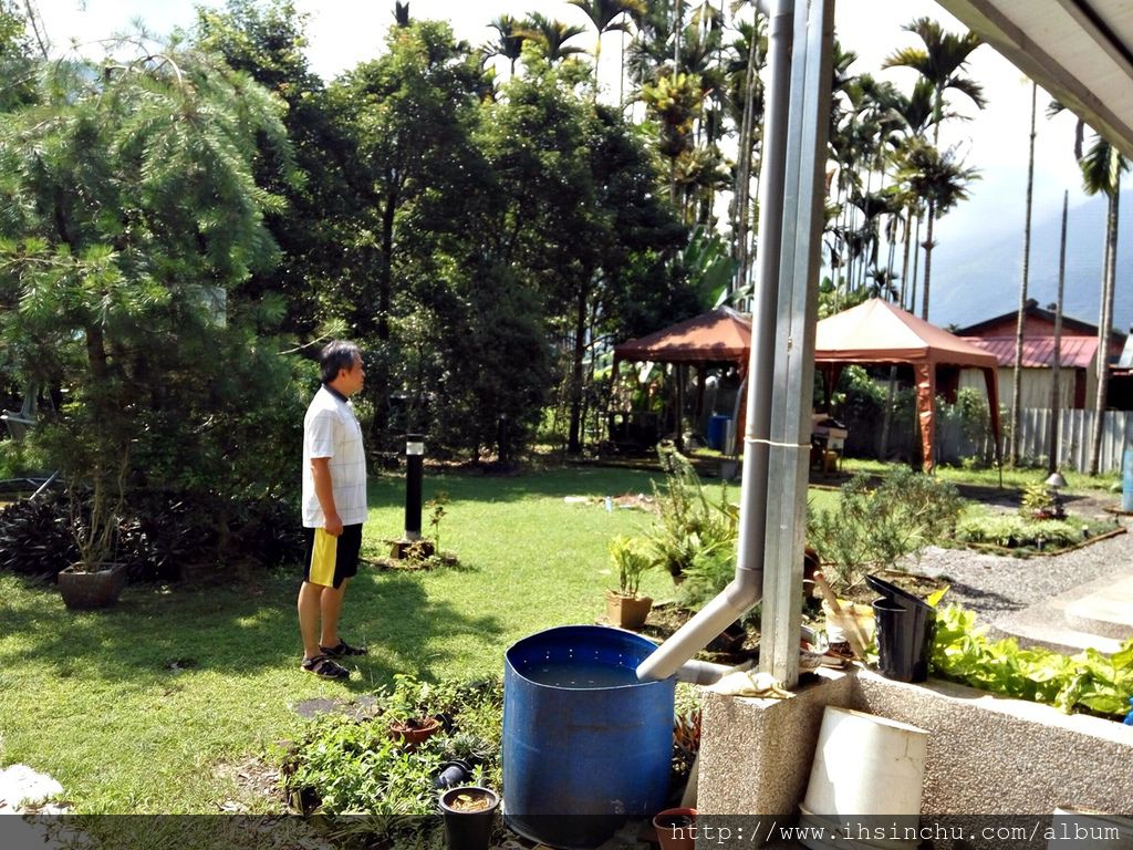 花鳥新村的後院跟林務局(林業試驗所)合作一些植物培育,例如牛樟芝等,後院占地非常大,儼然就跟森林一樣,不過蚊子超多的,來山里防蚊液要準備好,否則可是會滿身包喔。 花鳥新村的後院跟林務局(林業試驗所)合作一些植物培育,例如牛樟芝等,後院占地非常大,儼然就跟森林一樣,不過蚊子超多的,來山里防蚊液要準備好,否則可是會滿身包喔。