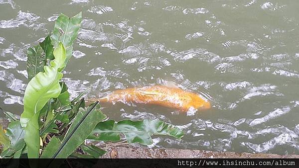 蘇維拉莊園 蘇維拉莊園