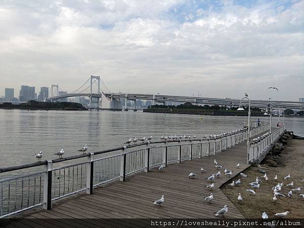 日本台場