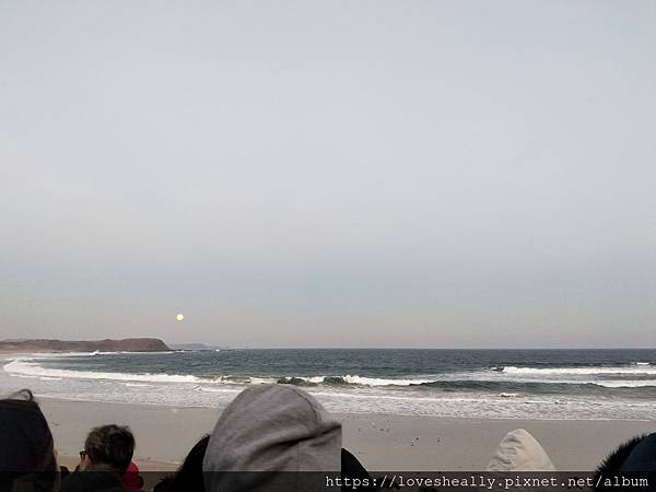 IMG20190518172615.jpg IMG20190518172615.jpg