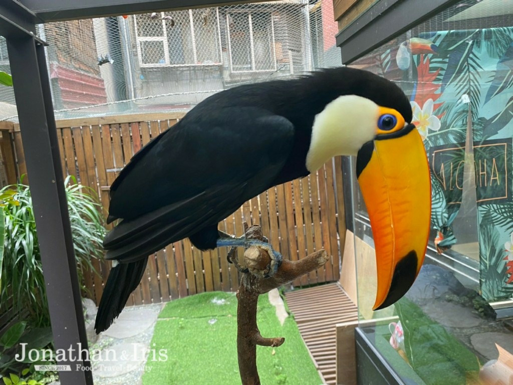 隱身東門巷弄內的森林系餐廳 肉球森林 與巨嘴鳥 狐蒙 貓咪 刺蝟有個萌約會 台北約會餐廳推薦 勁秦cp 盡情吃喝玩樂 痞客邦