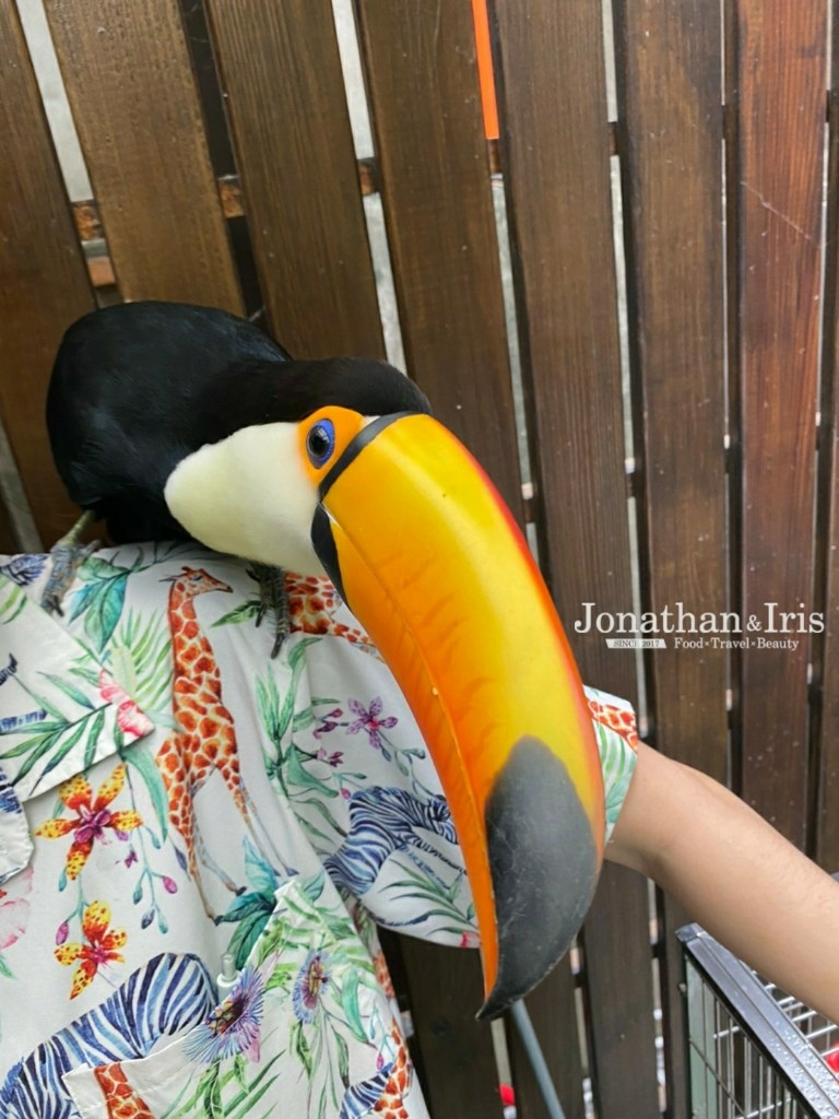 隱身東門巷弄內的森林系餐廳 肉球森林 與巨嘴鳥 狐蒙 貓咪 刺蝟有個萌約會 台北約會餐廳推薦 勁秦cp 盡情吃喝玩樂 痞客邦