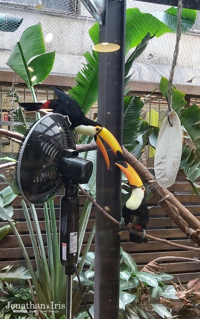 台北動物餐廳