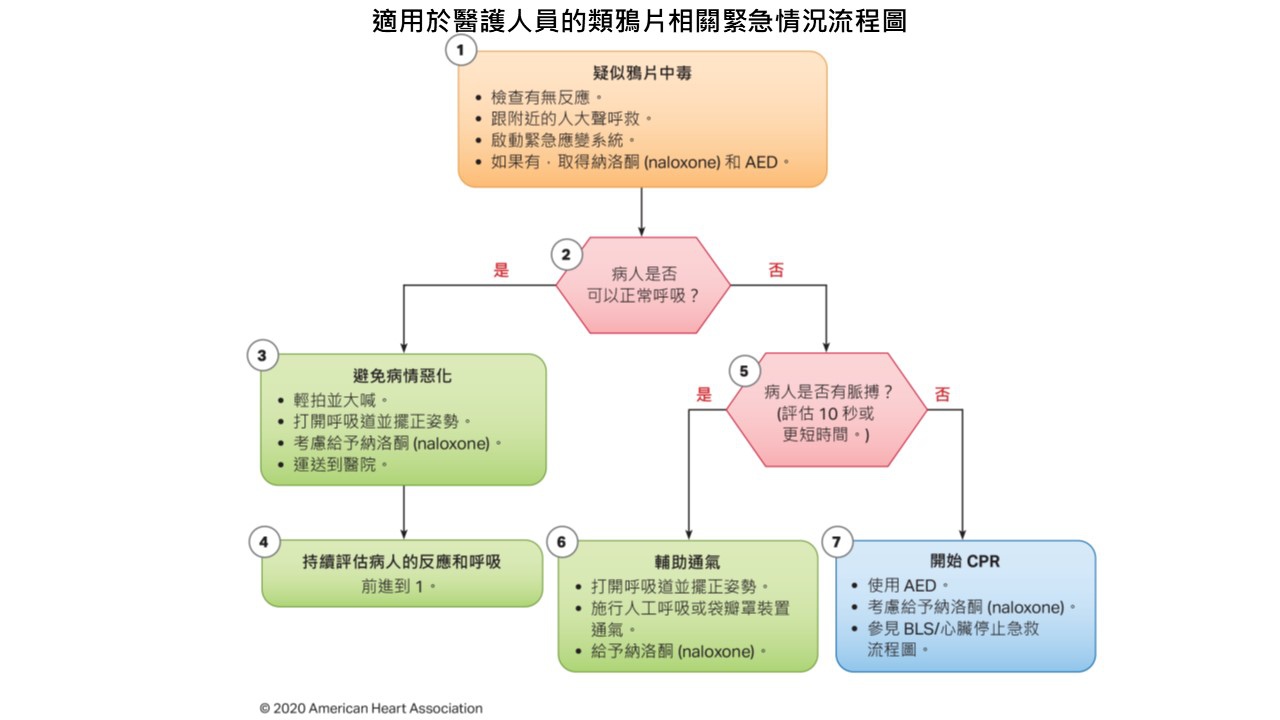 醫學新知 Acls 重點筆記 Cpr與ecc準則 更新建議 空靈問路 痞客邦