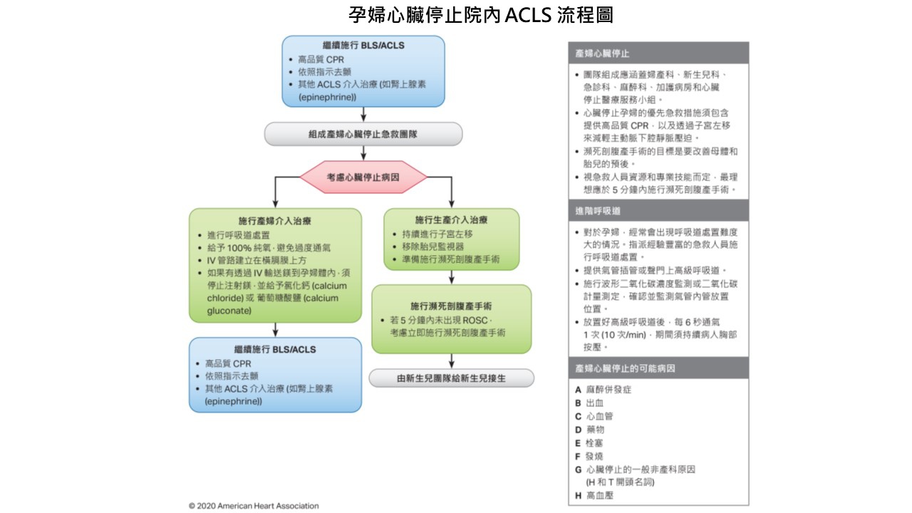 醫學新知 Acls 重點筆記 Cpr與ecc準則 更新建議 空靈問路 痞客邦