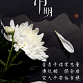 清明節祝福圖 (6).PNG