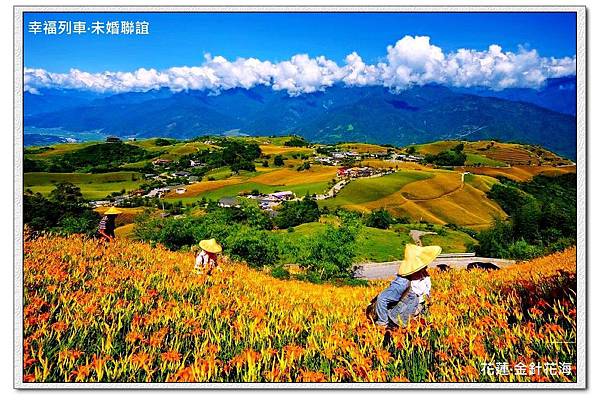 花蓮-金針花海.jpg 花蓮-金針花海.jpg