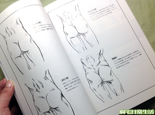 屁股書 (5)