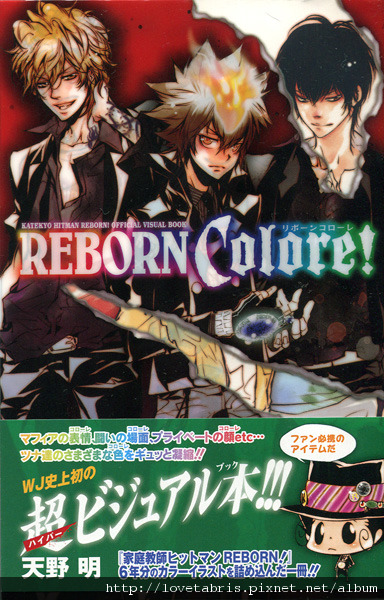 天野明 家庭教師ヒットマンREBORN! 公式ビジュアルブック REBORN Colore!