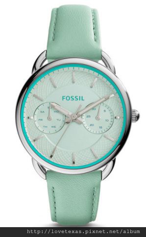 Fossil ES3951P 女錶 $4930 含運.JPG