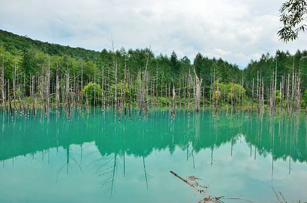 北海道_555