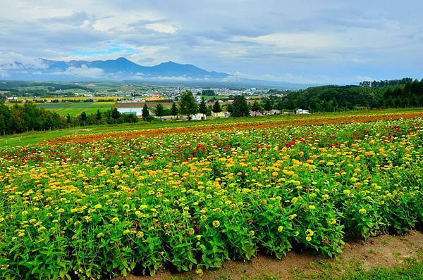 北海道_625