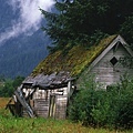 Shed in Field