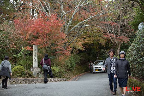 曼殊院門跡.jpg