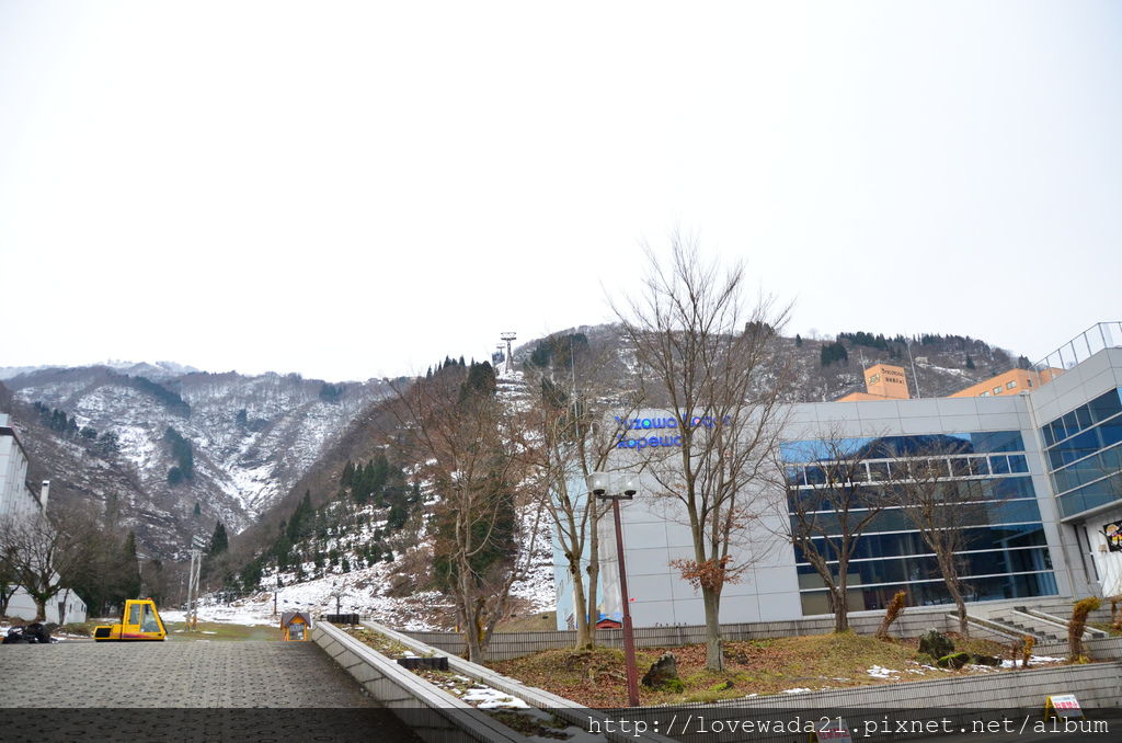 DSC_0731.JPG DSC_0731.JPG