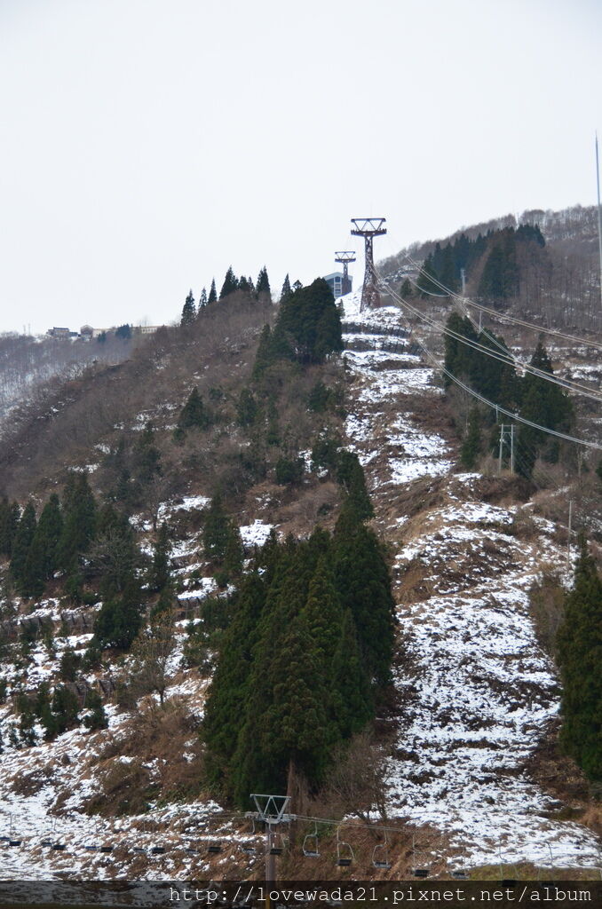 DSC_0732.JPG DSC_0732.JPG