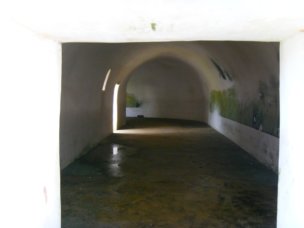 SDC16679.JPG