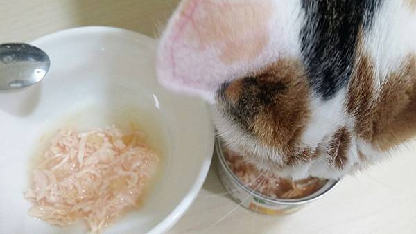 20170715 #5_170715_0010.jpg 20170715 #5_170715_0010.jpg