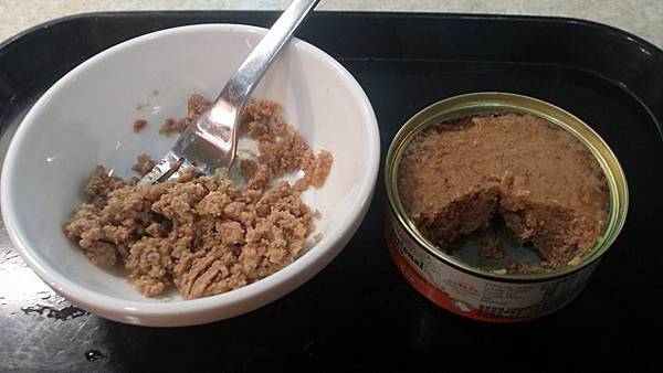 專業幼貓3.jpg 專業幼貓3.jpg