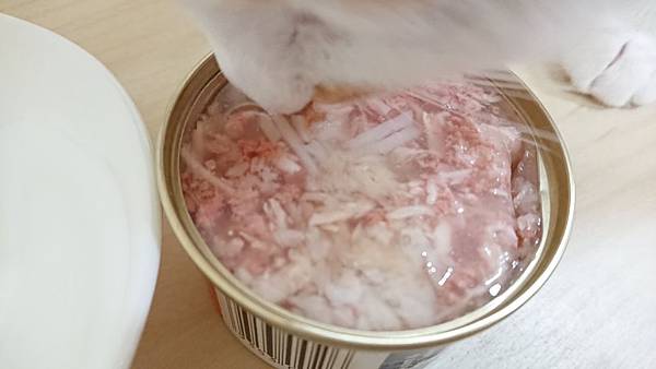 DSC_0011.JPG DSC_0011.JPG