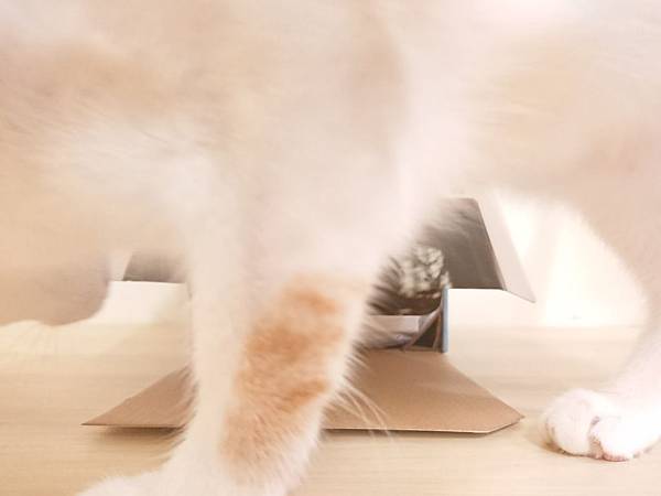 20170729_170729_0058.jpg 20170729_170729_0058.jpg