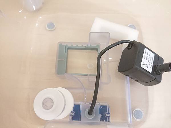 20170729_170729_0028.jpg 20170729_170729_0028.jpg