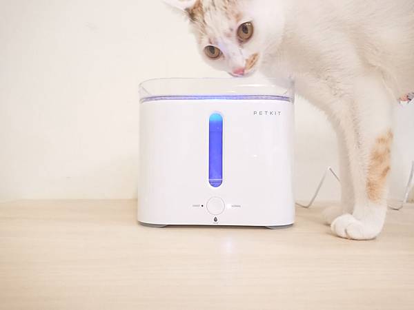 20170729_170729_0016.jpg 20170729_170729_0016.jpg