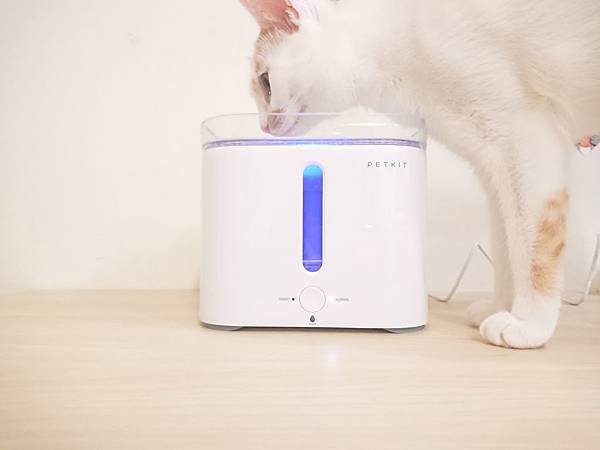 20170729_170729_0017.jpg 20170729_170729_0017.jpg