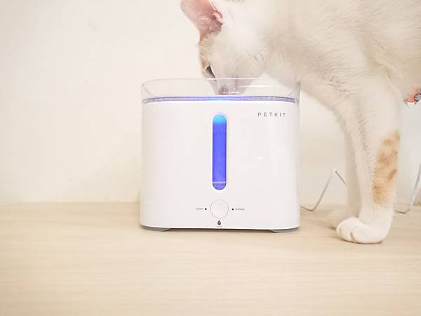 20170729_170729_0019.jpg 20170729_170729_0019.jpg