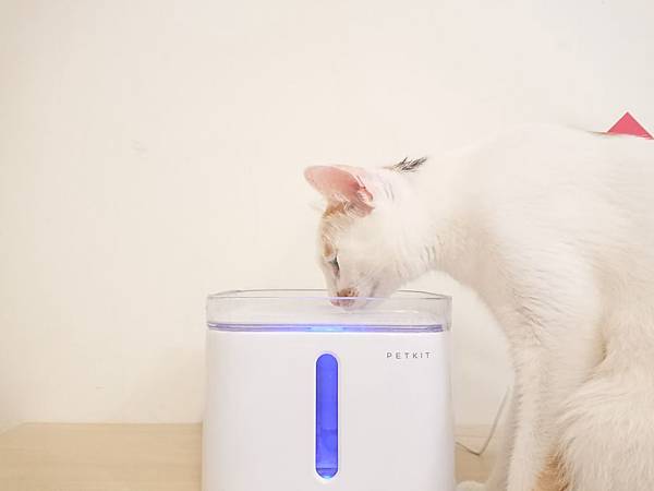 20170729_170729_0005.jpg 20170729_170729_0005.jpg