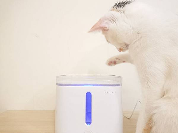 20170729_170729_0010.jpg 20170729_170729_0010.jpg