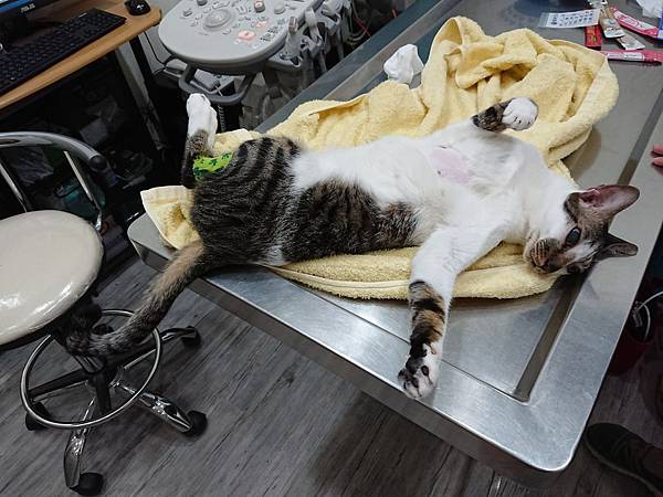 20170827 #1_170828_0017.jpg 20170827 #1_170828_0017.jpg