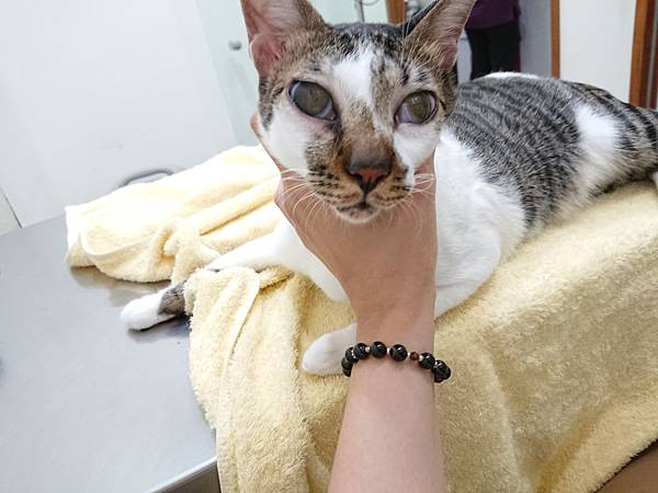 20170827 #1_170828_0001.jpg 20170827 #1_170828_0001.jpg