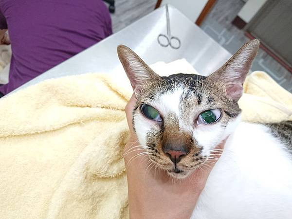 20170827 #1_170828_0010.jpg 20170827 #1_170828_0010.jpg