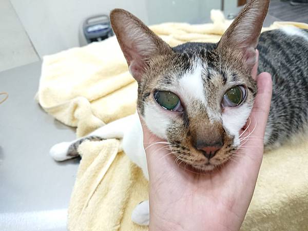 20170827 #1_170828_0002.jpg 20170827 #1_170828_0002.jpg